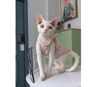 ZHIHAN Sphinx cat clothes pure cotton camisole hairless cat (multi-color optional), ice cream sling, M+