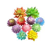 Zhiheng 11PCS Assorted Multicolor Artificial Succulent Plants Faux Fake Succulents Textured Cactus Aloe Succulent in Different Artificial Hanging String of Pearls Plant for Wedding for Home Decor