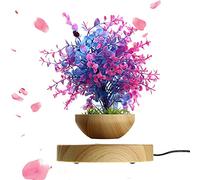 ZhiLianZhao Mini Sky-garden Rotating Flower Pot Planter, Levitating Air Bonsai Pot, with Quiet Rotation, for Potted Plant Home Desk Decor