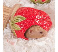 Zhilishu Ceramic Hamster Hideout, Strawberry Hamster House and Habitat, Syrian Hamster Hideout Decor Cool Bed for All Season Gerbil, Mice Guinea Pig