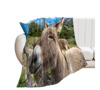 Zhimahou 60x50inches (150x125cm) Throw Blanket, Funny Portrait, Donkey in The Wild Print, Warm Cozy Blanket, Plush Comfortable Blanket Valentines Gifts