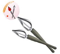 ZHjuju 2 Pcs Stainless Steel Chef Culinary Drawing Spoons, Decorating Spoons with Tapered Spout for Sauce Painting, Cake, Coffee & Dessert Decoration, 2 Sizes (Large & Small)