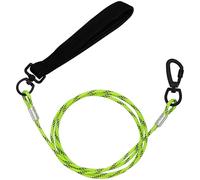 ZHOMA 5FT Chew Proof Metal Dog Leash with Comfortable Handle, Heavy Duty Steel Cable Lead for Control Large Medium Small Dogs Walk and Train, Pet Leash with Rotate Clasp and Double Buckle (5FT,Green)