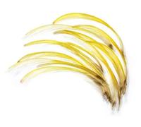 ZHONGJIUYUAN golden pheasant head crest feather classic salmon wet fly lure fly tying materials,6cm/M, 40PCS