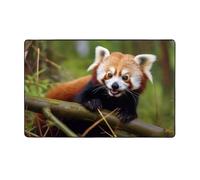 ZHONGSK Area Rug For Living Room, 150 X 100 X 0.8cm, Little Red Panda - Soft Flannel Carpet For Bedroom Dining Room, Machine Washable Rugs Stylish 3 D Print Home Decor Office Carpets