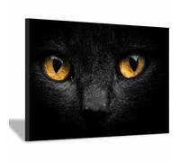 ZhongXinArt Animal Canvas Wall Art Soft cats A perfect wall art living room bedroom kitchen dining room bathroom bars wall decor(black111)-60x90cm Framed