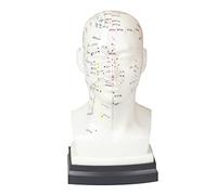 ZHONGYAN TAIHE 1pc Soft PVC Head Acupuncture Model Acupuncture Needles for Beginners Head Acupuncture Model Acupuncture Learning Tool Height 8.6"Professional Medical Acupuncture Head