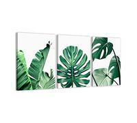 ZHONGYUTONG Tropical Leaf Print Posters Botanical Leaf Palm Banana Picture 3 Panel Canvas Painting Botanical Wall Art Poster Green Leaves Art Posters for Modern Home Decor Wooden Frame (20"x28"x3PCS)