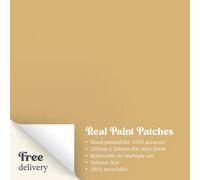 Zhoosh Beehive Paint Patch Flat Matt Sample