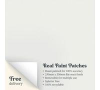 Zhoosh Off Piste Paint Patch Flat Matt Sample