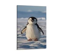 ZHOUKEG Cute Little Penguin on The Ice Field Artistic Wall Mural Modern Hanging Decor Poster20x30inch(50x75cm)