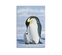 ZHOUKEG Penguin Mother And Baby on Ice Field Artistic Wall Mural Modern Hanging Decor Poster12x18inch(30x45cm)