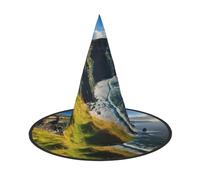 Zhuanyun Ireland Outdoors County Clare The Cliffs print Halloween hat Halloween Costume Accessories Headdress Party Accessories Witch Hat