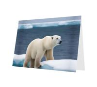 Zhuanyun polar bear print Luxury Pearlescent Paper Invitation Cards - Baptism, Holiday Gatherings | Includes Envelopes