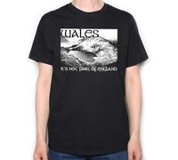 ZHUGU Men's Wales It's Not Part of England T Shirt Welsh T-Shirt Rugby Etc Black