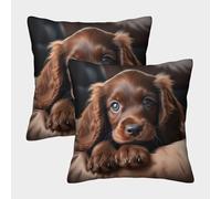 ZHUICHENG 3D Printed Cocker Spaniel Throw Pillow Covers Hound Square Cushion Cover Garden Cushion Super Soft Pack of 2 for Home Couch Sofa Decorative, Gifts 50x50cm