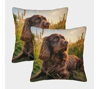 ZHUICHENG 3D Printed Cocker Spaniel Throw Pillow Covers Hound Throw Pillow Case Garden Cushion Super Soft Pack of 2 for Sofa Couch Bed 40x40cm