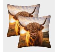 ZHUICHENG 3D Printed Highland Cattle Throw Pillow Covers Cow Square Cushion Cover Garden Cushion Super Soft Pack of 2 for Sofa Couch Bed 45x45cm