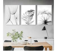 ZHUOYA Posters Black And White Flower Print Fresh Wall Art Feather Dandelion Pictures Canvas Living Room Decor Wall Paintings(30 * 50x3cm/Frameless)