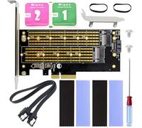 ZHUROUPU 2 in 1 M.2 SSD to PCIe 4.0 X4 Adapter Conversion Card, NVME (M-Key) and SATA (B-Key) Dual Expansion Card 22110 2280 2260 2242 2230 M.2 SSD to PCI-E X4 Heatsink and SATA Cable