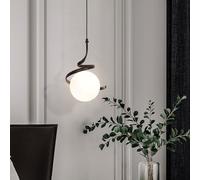 zhxinashu Glass Globe Pendant Light,Black Pendant Light for Kitchen Island