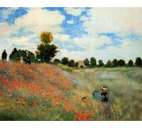 ZHXXFD Paint by Numbers for Adults Kids Landscape Famous Paintings with Frame 40X50Cm DIY Canvas Painting Kits, Poppies at Argenteuil - Claude Monet,A7
