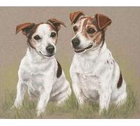 Zhyaunz 5D DIY Diamond Painting Kits Jack Russell Terrier Dog Embroidery Mosaic Rhinestone Paint by Numbers Kits for Adult and Kids 40x50cm