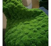 ZHZHXR Artificial Moss Turf Realistic Fake Moss Sheet Carpet Blanket for Indoor Outdoor Decor No Maintenance Green Cover for Walls, Gardens Tabletops(G)