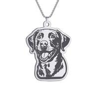 ZIAFRPN Cute Chesapeake Bay Retriever Dog Necklace for Men Women Jewelry Stainless Steel Pet Charms Thick Chains Choker Kids Gifts