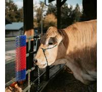 Ziaphsol Wall-Mounted Livestock Brush Red Blue 50 x 17 x 9 cm Plastic and Steel for Cattle and Horses, for Grooming in the Stable and in the Pasture