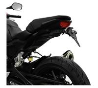 Zieger Pro Licence Plate Holder HONDA CB 300 R BJ 2018-19