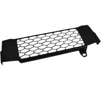 Zieger Radiator Guard For Honda CB125R Neo Sports Cafe 2018-2022 Black