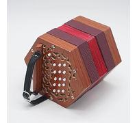 Ziehharmonika, Hexagonal Accordion 20 Buttons Retro Style for Beginning Adults Accordion with Carry Bag and Pocket (A)