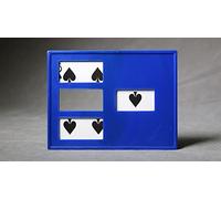 Zig Zag Card (plastic) by Mr. Magic, Magic Trick, Beginner, Card Trick