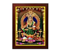 zig zag Maa Annapurna Devi / Mata Photo Frame For wall / room Size Medium ( 9.5 x 13.5 inches, Acrylic Glass) Brown, Rectangular