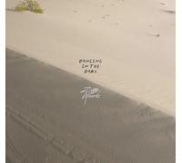 Ziggy Alberts - Dancing In The Dark [VINYL]