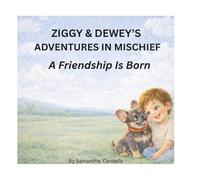 ZIGGY AND DEWEYS ADVENTURES IN MISCHIEF: A Friendship Is Born