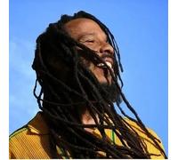 Ziggy Marley - Brightside [VINYL]
