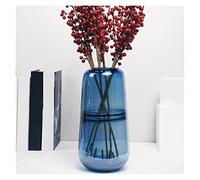 ZIGUIhsou-11 Flower Vase Simplicity Glass Vase Blue Hydroponics Flower Pot Flower Arrangement Transparent Amber Vases Nordic Home Decoration Modern Vase for Decor(Large)
