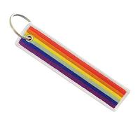 Zigvert LGBT Bisexual Lesbian Rainbow Non-Binary Transgender Flag Keychain, Gay, Medium