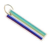 Zigvert LGBT Bisexual Lesbian Rainbow Non-Binary Transgender Flag Keychain, Mlm, Medium