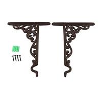Ziiyoilh 2 Pack Cast Iron Plant Hanger Hanging Basket Wall Hook with Screws, Vintage Metal Wall Stands for Bird Feeders, Lanterns, Wind Chimes, Wall Brackets