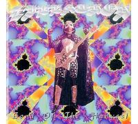 Zilatron Feat.Bootsy Collins - Lord of the Harvest