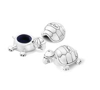 Zilverstad First Tooth and Curl Box, Turtle