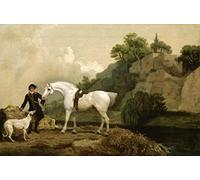 ZIMARO Classic Painting Wall Art Print Canvas Reproduction a Grey Hunter with a Groom and a Greyhound At Creswell Crags by George Stubbs for Home Decor 60x90cm