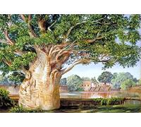 ZIMARO Classic Painting Wall Art Print Canvas Reproduction Marianne North Painter African Baobab Tree in the Princess's Garden At Tanjore India for Home Decor 60x90cm