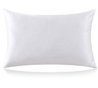 ZIMASILK 100% Mulberry Silk Pillowcase for Hair and Skin Health, Both Sides 19 Momme Premium Grade 6A Silk, Soft & Smooth, 600 Thread Count, with Hidden Zipper, 1pc (50x66 cm, Ivory White)