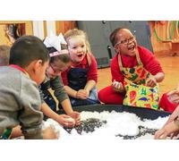 Zimpli Kids Snoball Pack - 60 Snoball Pack