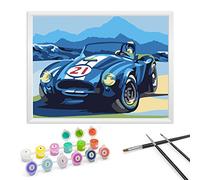 Zimrobin Paint by Numbers for Children Ages 6-12 with Pre-Printed Cardboard, 12 Vibrant Acrylic Paint Pots, a Frame, and 3 Painting Brushes(Cars)