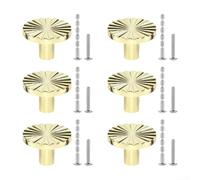 Zinc Alloy Cabinet Knobs 6PCS Designed for Indoor Furniture Applications Including Dressers Bookcases and Hallway Cabinets (Gold)